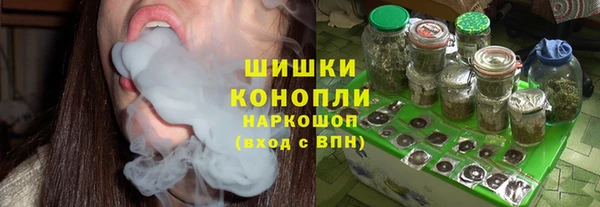 мдпв Кодинск