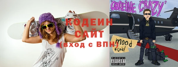 мдпв Кодинск