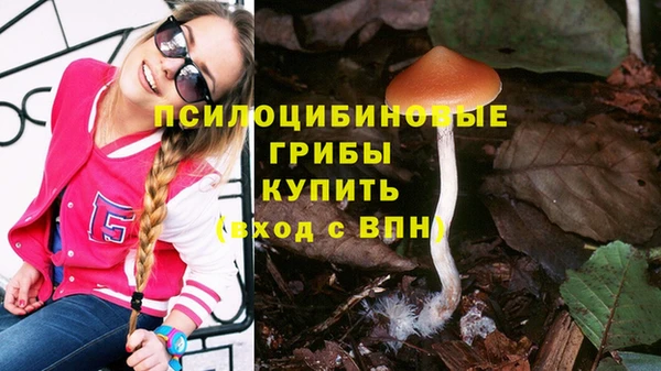 мдпв Кодинск