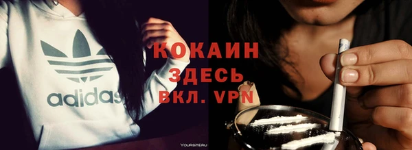 мдпв Кодинск