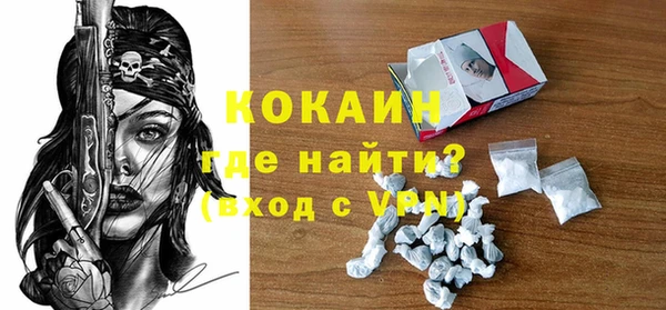 мдпв Кодинск