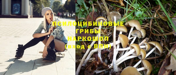 хмурый Козловка