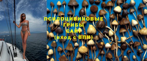 хмурый Козловка