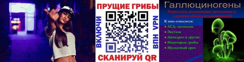 Купить закладки  Зеленоградск  Псилоцибиновые грибы прущие грибы 